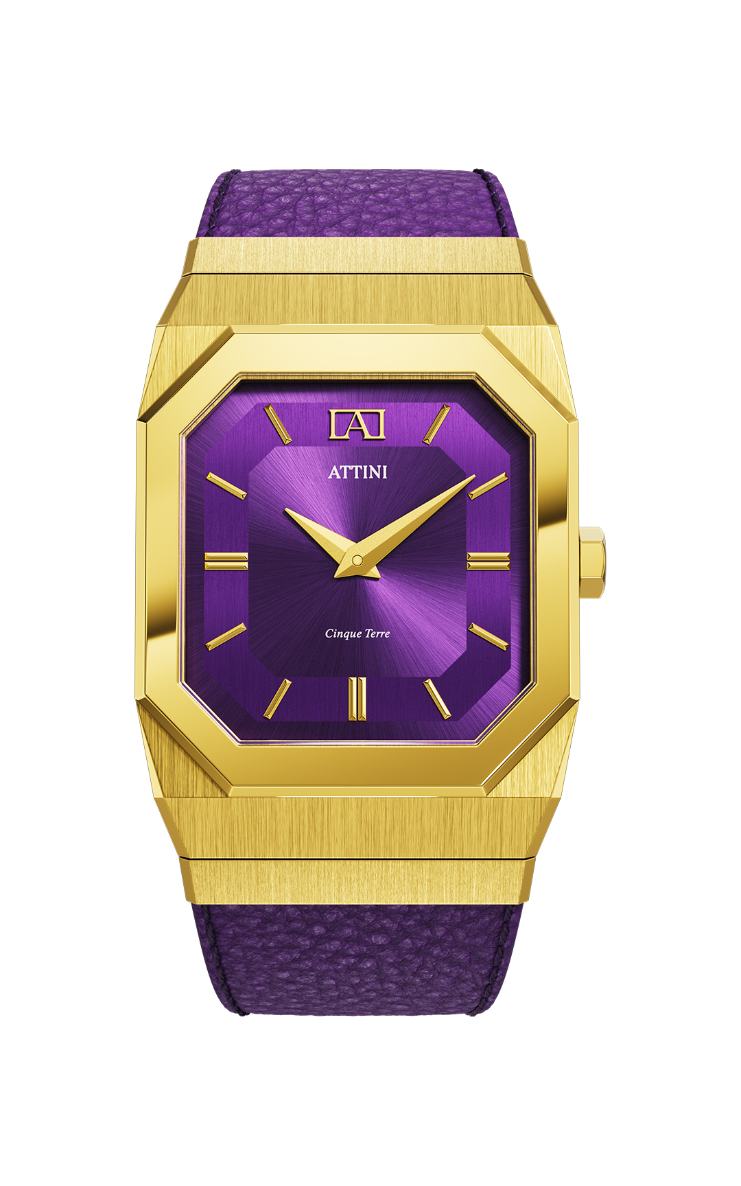 ATTINI - Cinque Terre / Swiss Movement. - Enzo Attini - - case27