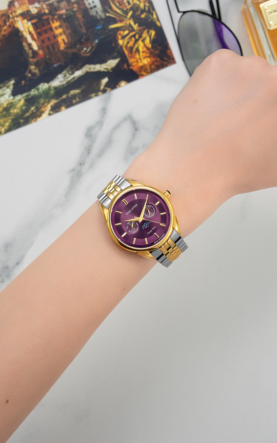 Cinque Terre / President Bracelet, Silver & Gold Color, Swiss Movement.