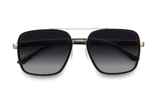 il Ponte di Rialto / Black + Gray Lens