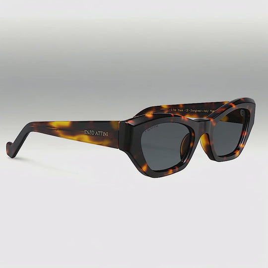 Eiffel Tower / Dark Brown Lens.