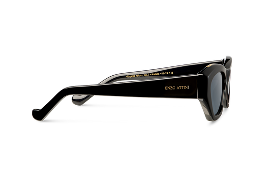 Eiffel Tower / Dark Black Lens.